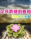 花开娇艳的卷柏