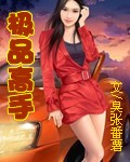 极品高手