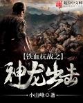 铁血抗战之神龙出击