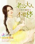 限时妻约：老公大人，不要停