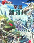 至尊杂货铺TXT