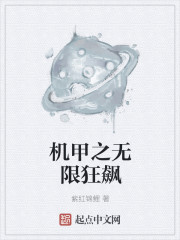 机甲之无限狂飙
