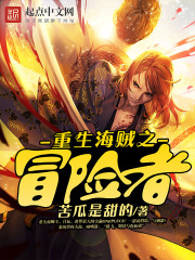 重生海贼之冒险者