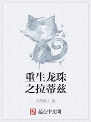 重生龙珠之拉蒂兹
