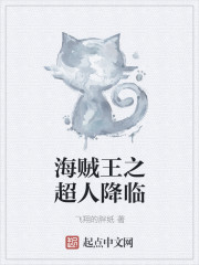 海贼王之超人降临