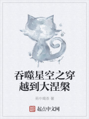 吞噬星空之穿越到大涅盘
