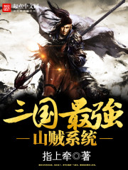 三国最强山贼系统