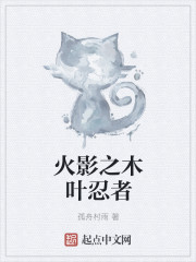 火影之木叶忍者