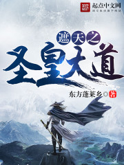 遮天之圣皇大道