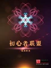 初心者联盟