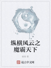 纵横风云之魔霸天下