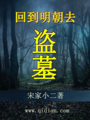回到明朝去盗墓