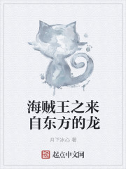 海贼王之来自东方的龙
