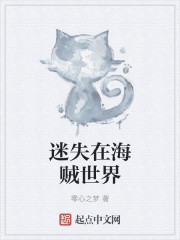 迷失在海贼世界