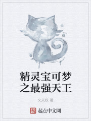 精灵宝可梦之最强天王