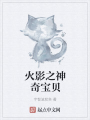 火影之神奇宝贝