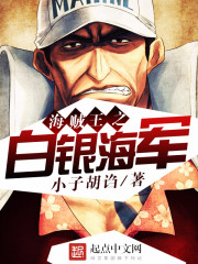 海贼王之白银海军