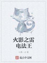 火影之雷电法王