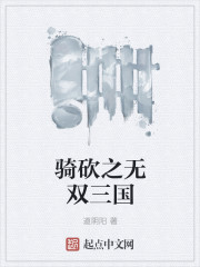 骑砍之无双三国