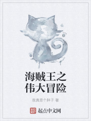 海贼王之伟大冒险