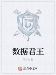 数据君王