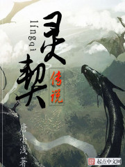灵契传说