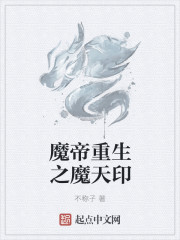 魔帝重生之魔天印
