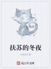 扶苏的冬夜