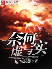 奈何虚与实
