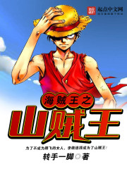 海贼王之山贼王