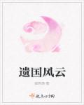 遗国风云