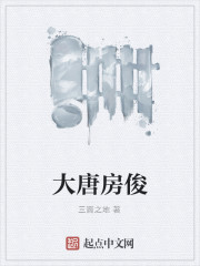 大唐房俊
