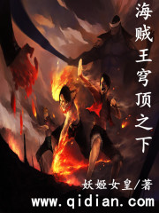 海贼王穹顶之下