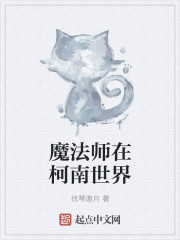 魔法师在柯南世界