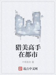 猎美高手在都市