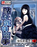 贴身武林高手
