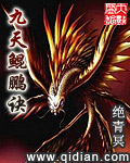 九天鲲鹏诀