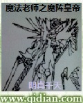 魔法老师之魔阵皇帝