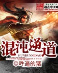混沌逆道