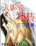 火影之翔传