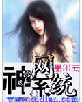 神网系统