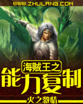 海贼王之能力复制