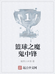 篮球之魔鬼中锋