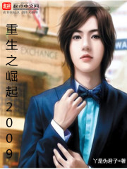 重生之崛起2009