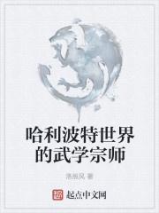 哈利波特世界的武学宗师