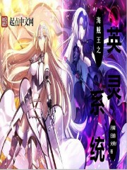 海贼王之英灵系统