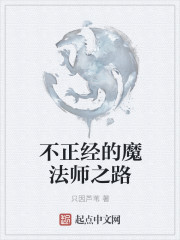 不正经的魔法师之路