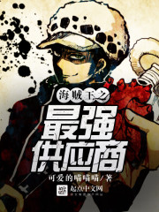 海贼王之最强供应商