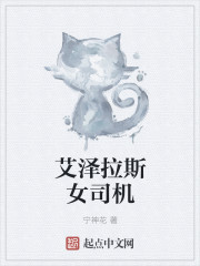 艾泽拉斯女司机