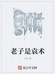 老子是袁术